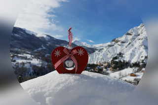 Programme des animations du 7 janvier au 7 février