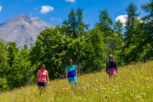 Sport, Attività, , Benessere
