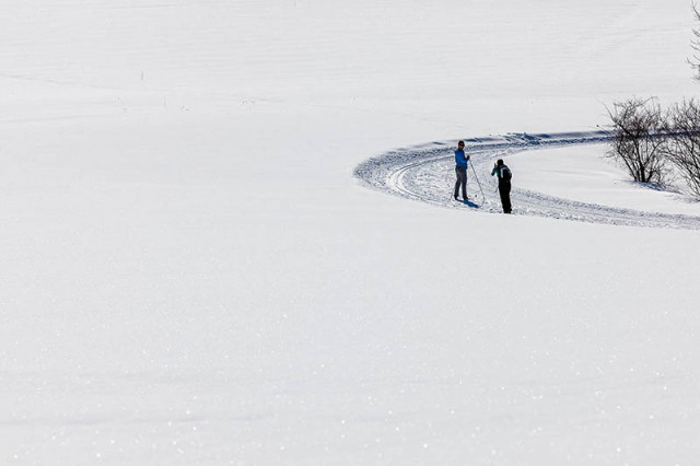 Cross country skiing