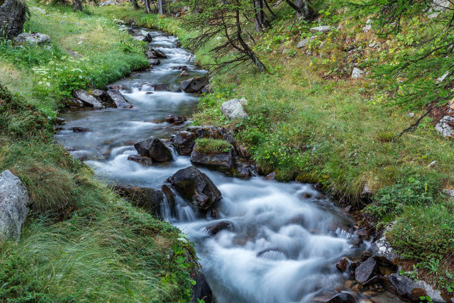 Environnement et protection