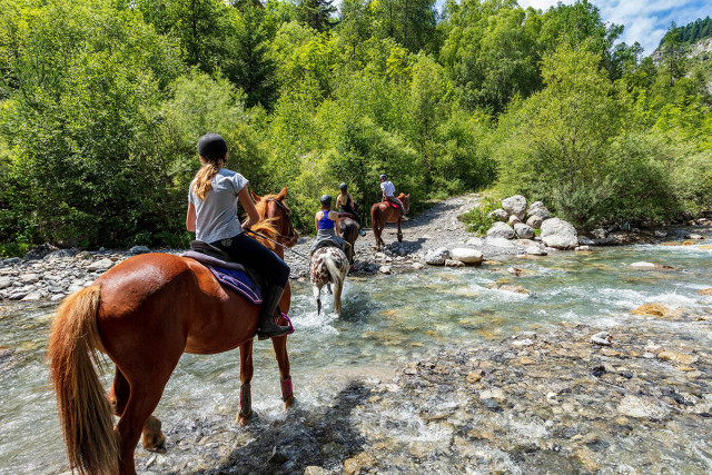 Horse riding, pack donkeys for hire