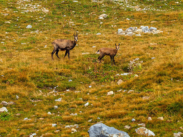 Mercantour National park