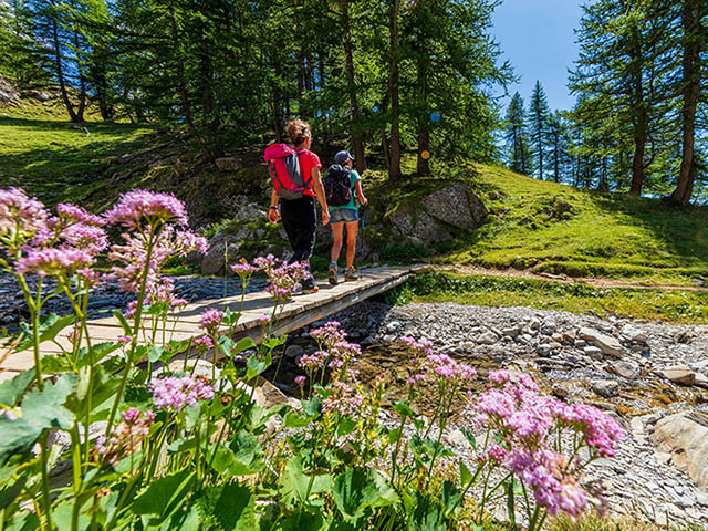 Randonnées en montagne