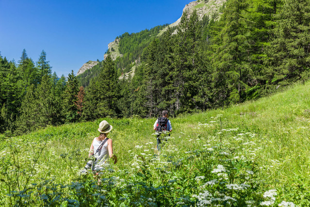 Accompagnateurs en montagne