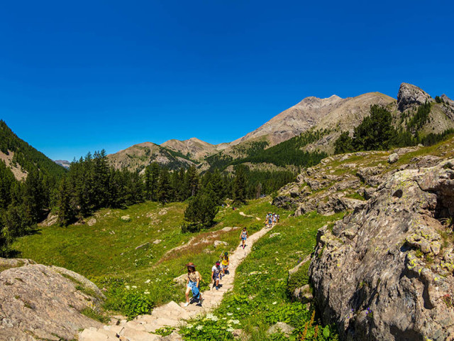Accompagnateurs en montagne