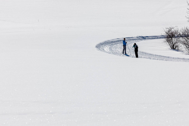 Ski de fond