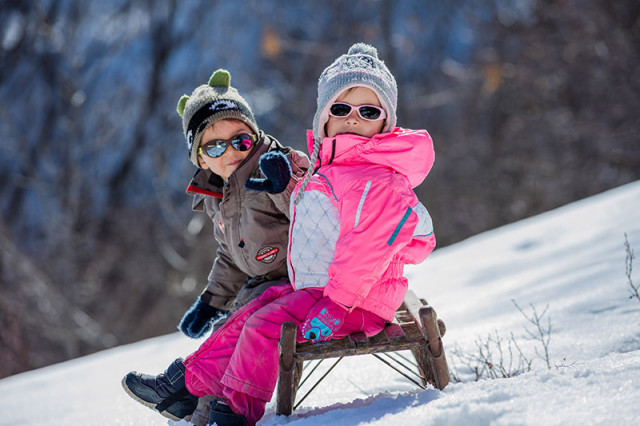 Chez nous vos poussins sont bien