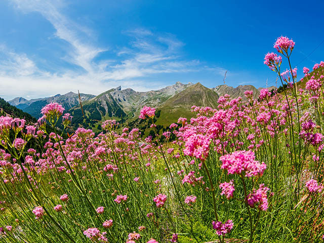 Verdon valley