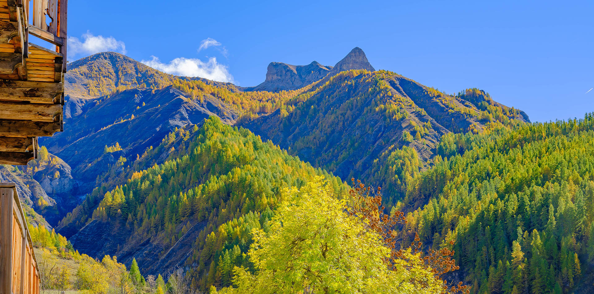 Warm colors of autumn Val d'Allos France