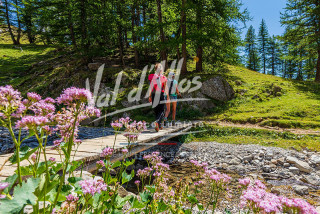 val-d-allos-mercantour-221891-3912