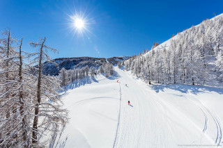 Val d'Allos retour aux sources