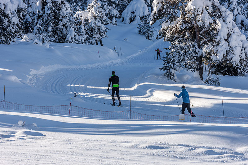 ski de fond