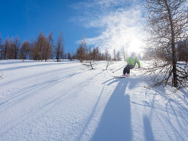 Zones de quietude du tetras lyre sur les domaines skiables