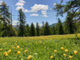 Montée au lac des grenouilles