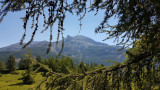Panorama de montagne depuis Val d'Allos - le Seignus, prairie de montagne entourée de conifères, montagne de Rochecline