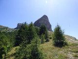 The summit of Rochecline Mountain, a rocky outcrop surrounded by vegetation and a few conifers