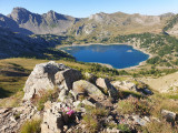 Lake Allos seen from a high vantage point. A vast expanse of water surrounded by mountains and vegetation