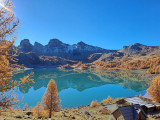 Le Lac d'Allos en automne, végétation autour du lac roussie et mélèzes oranges, montagnes dites Tours du Lac en fond avec neige clairsemée
