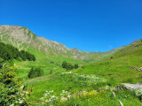 Panorama of the Sources of the Verdon, a wooded mountain valley blooming in spring