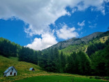 View of the ONF’s Talon-Prénier huts, situated on the trail of the same name. Beyond the huts lies a coniferous forest