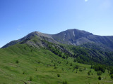 A vast expanse of grassland in a mountainous landscape