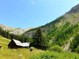 Talon's Cabins: two cabins situated in a meadow in a wooded valley