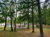 City stadium in the middle of a wooded area, enclosed football and basketball court