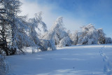 accompagnateur_en_montagne_christiane_ray_anezin.jpg