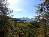 Panorama d'un promontoire de montagne dégagé, quelques arbres et végétation
