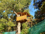 Accrobranche du Jungle Parc, nacelle en bois fixée à un arbre au-dessus de deux filets, accessible par un parcours d'accrobranche