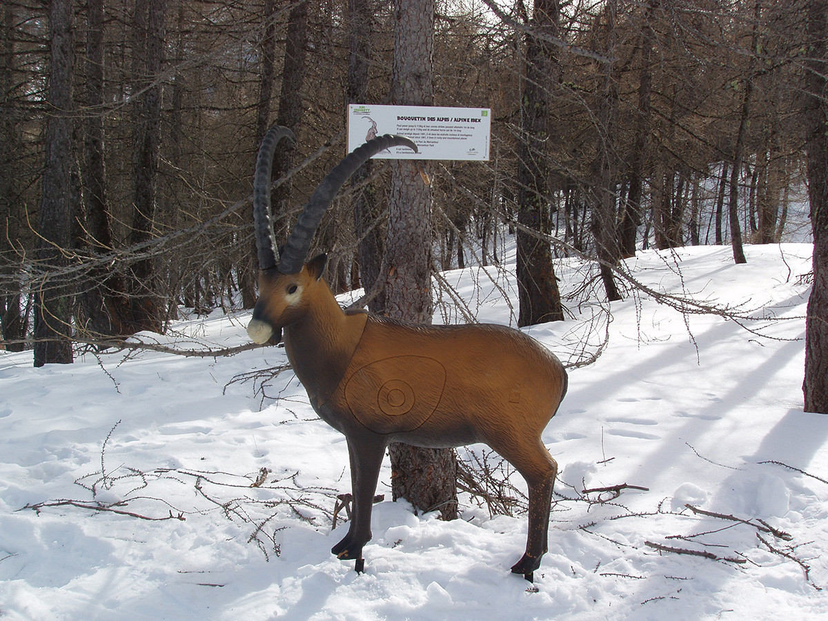 Bouquetin grandeur nature en plastique sur le côté d'un piste de ski, panneau explicatif du Parc National du Mercantour