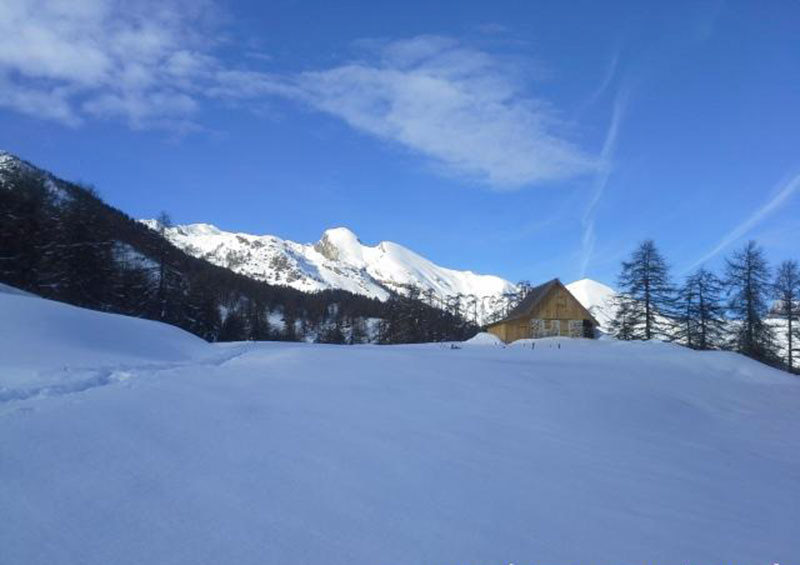 randonnee_raquette_la_foux.jpg