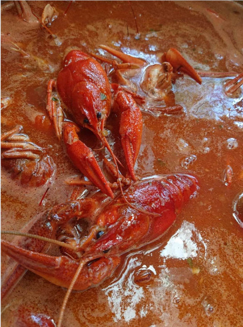Pêche à la truite