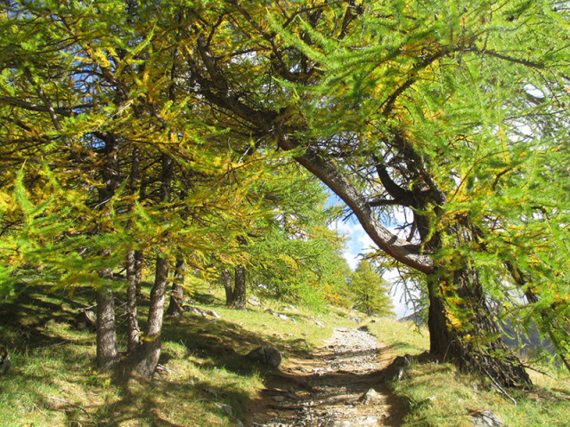 M Beaudoire, accompagnatrice en montagne diplômée d'Etat