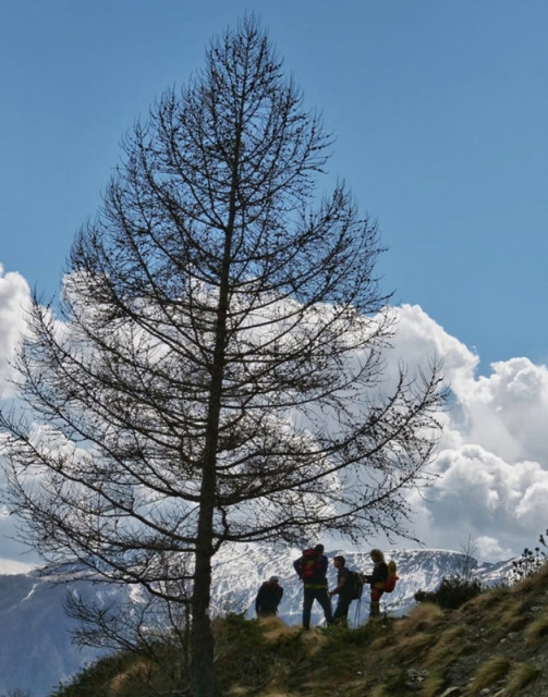 M Beaudoire, accompagnatrice en montagne diplômée d'Etat