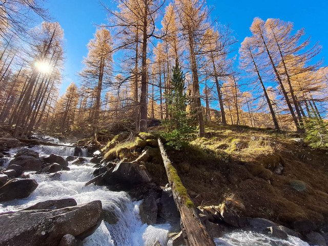Randonnée en itinérance : traversée du mercantour_Allos