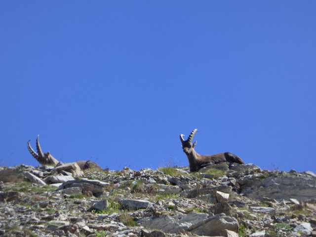 Tours du Haut Verdon