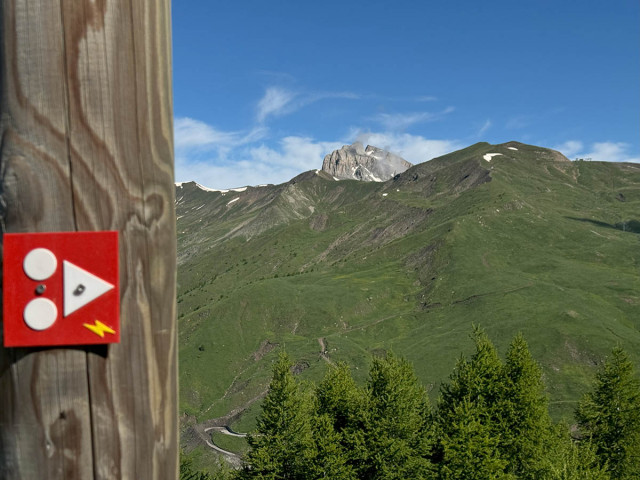 VTT ae ponchus