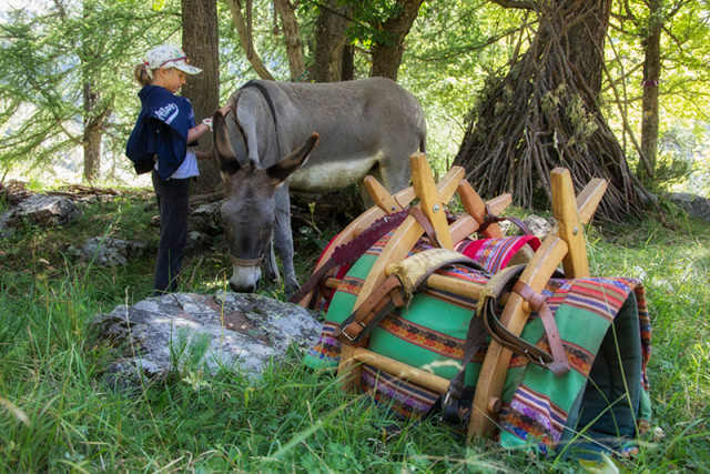 seol'anes location d'anes seol'anes location d'anes