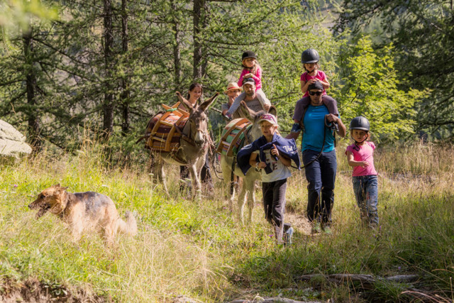 seol'anes location d'anes seol'anes location d'anes