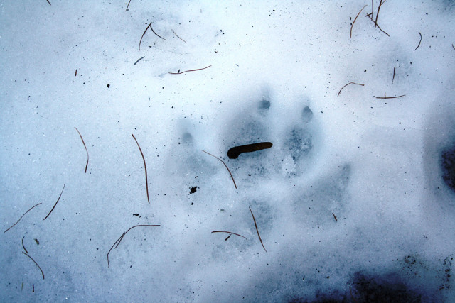 Rando Terre D'azur Rando Terre D'azur