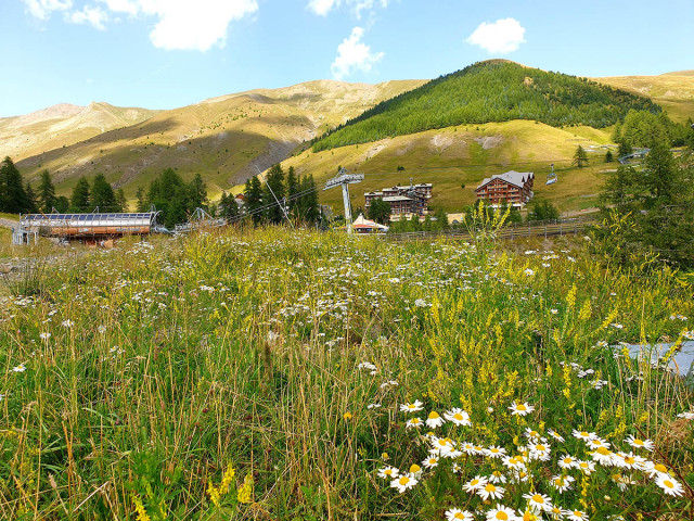 Mountian bike trail : l'Aiguille_La Foux d’Allos