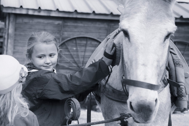 seol'anes location d'anes