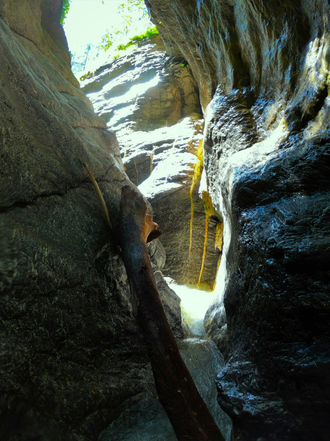 Pro Verdon Activités Pro Verdon Activités