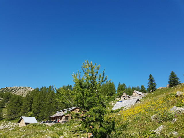 View of the refuge-restaurant, a wooden house in the middle of the vegetation, terrace, tables and chairs