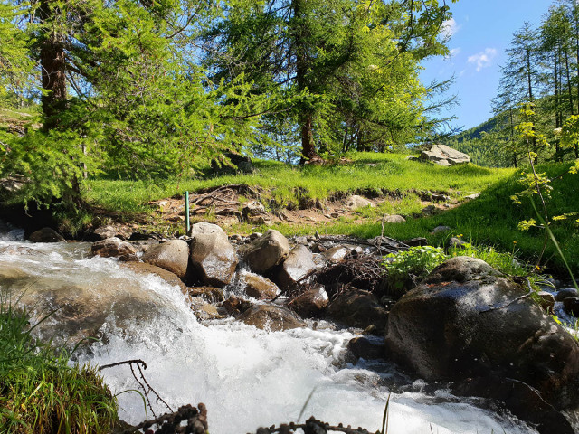 Cours d'eau claire passant le long d'un sentier de forêt, terre et cailloux, montagnes luxuriantes en arrière-plan