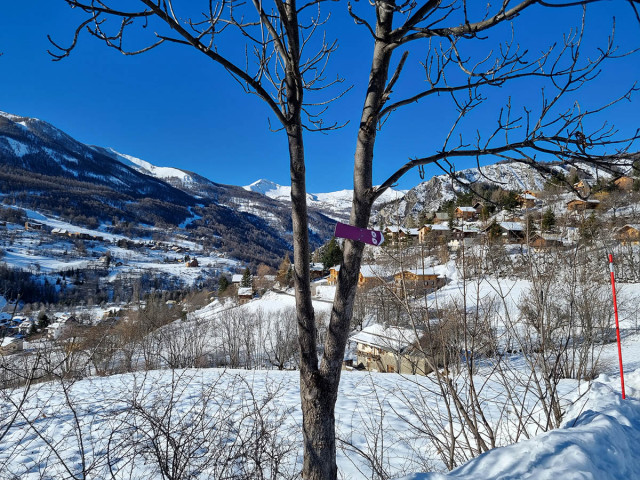 Panneau d'itinéraire de randonnée raquettes fixé sur un arbre, en surplomb du village d'Allos enneigé