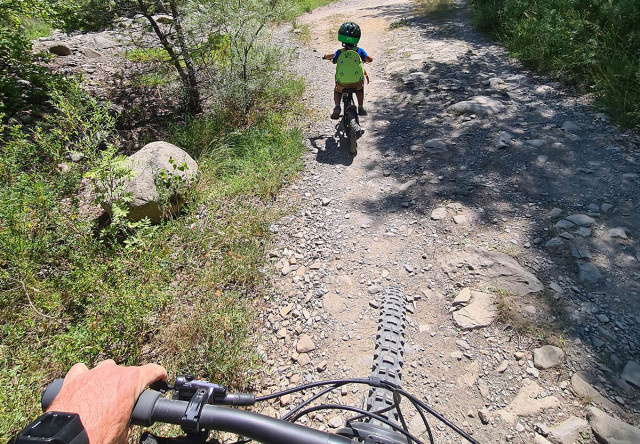 Two cyclists (adult and child) on a dirt e-MTB trail surrounded by vegetation, sunny setting