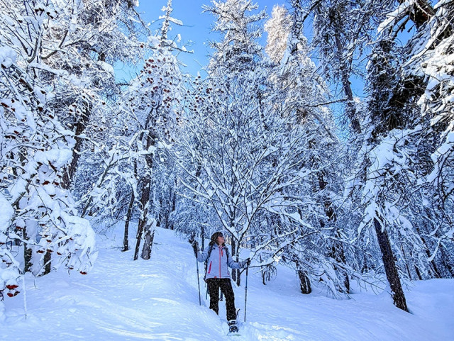 A woman snowshoeing in the middle of a snowy forest