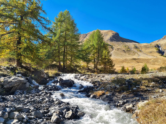 A stream meanders between pebbles and rocks beside a dirt path, surrounded by conifers and vegetation. Mountains with sparse summer vegetation rise in the background.